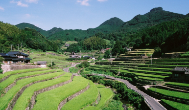 川棚町